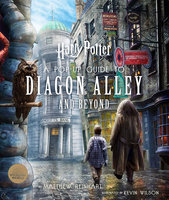 POP UP GUIDE TO DIAGON ALLEY AND BEYOND