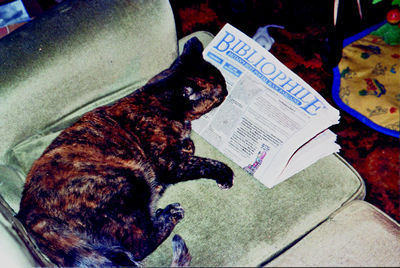 Cat can read! What a great choice - Bibliophile's CAT-a-logue.\\n\\n10/02/2011 12:32