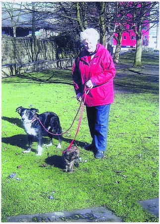 Customer Cath Wilkinson, Oliver the collie and Bramble the cat (ON A LEAD!)\\n\\n09/10/2012 14:39