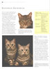ULTIMATE ENCYCLOPEDIA OF CATS: Breeds and Care