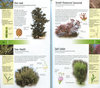 TREES OF BRITAIN AND EUROPE Black's Nature Guides