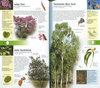 TREES OF BRITAIN AND EUROPE Black's Nature Guides