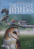 ULTIMATE GUIDE TO BRITISH BIRDS DVD