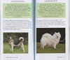 COLLINS NATURE GUIDES: Dog Breeds of the World