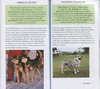 COLLINS NATURE GUIDES: Dog Breeds of the World