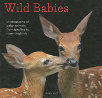 WILD BABIES: Photographs of Baby Animals