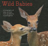 WILD BABIES: Photographs of Baby Animals