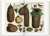 SEBA: Cabinet of Natural Curiosities 1734-1765