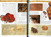 ILLUSTRATED CHILDREN'S ENCYCLOPEDIA OF THE ANCIENT WORLD