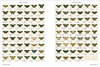 ICONOTYPES: A Compendium of Butterflies & Moths