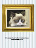 GRUMPY GUIDE TO LIFE: Observations from Grumpy Cat