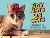 TINY HATS ON CATS: Because Every Cat Deserves to Feel Fancy