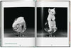 CATS PHOTOGRAPHS 1942–-2018