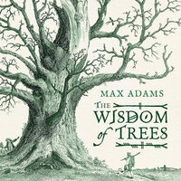 WISDOM OF TREES