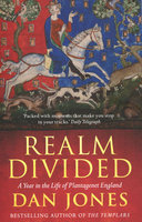 REALM DIVIDED: A Year in the Life of Plantagenet England