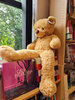 SUPER SOFT BROWN GIANT TEDDY