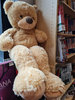 SUPER SOFT BROWN GIANT TEDDY