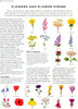 WILD FLOWERS AND FLORA: An Illustrated Identifier