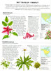 WILD FLOWERS AND FLORA: An Illustrated Identifier