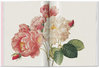 REDOUTE ROSES