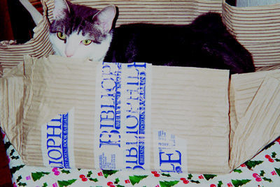 Bib boxes are so cosy!\\n\\n10/02/2011 12:32
