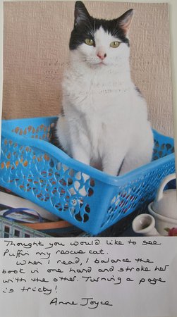 Customer letter and picture of Puffin the rescue cat, April 2022. Isn't he handsome?\\n\\n10/06/2022 12:09